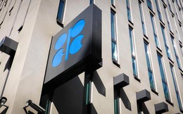 “Giá dầu có thể lên 65 USD/thùng vào đầu năm tới”