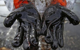“1/3 số công ty dầu lửa trên thế giới có nguy cơ phá sản”