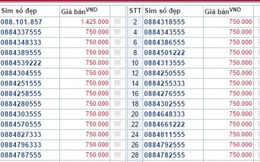 Tiền triệu một sim đầu số 088, 089 trước ngày ra mắt