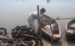 Nuôi hàu bằng vỏ lốp cũ: Đầu độc vịnh và gây hại cho người ăn?
