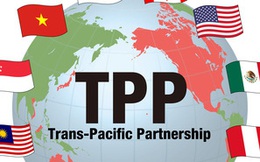 Có hay không có TPP, Việt Nam vẫn tiến về phía trước