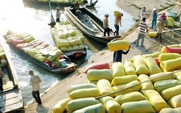 Thái Lan xả kho 11 triệu tấn gạo: Gạo cũ xấu, giá rẻ