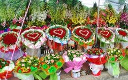 Lễ tình nhân 2016: Hoa hồng Valentine tăng giá "sốc" vì khan hiểm