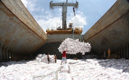 Xuất khẩu gạo của Việt Nam ở mức thấp nhất trong 8 năm qua