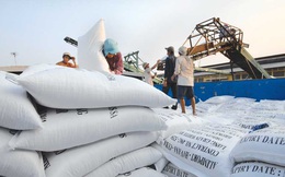 Xuất khẩu gạo Việt Nam tiếp tục bế tắc