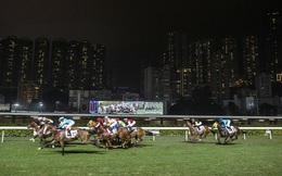 Điều ít biết về ngành kinh doanh đua ngựa tỷ đô ở Hồng Kông