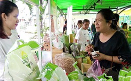 Nhiều lô hàng gạo Việt bị trả về: Khắc phục ra sao?