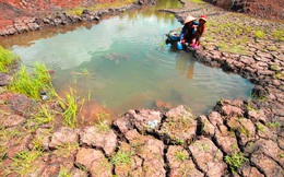 Trung Quốc xả đập, nhưng người dân Đồng Bằng Sông Cửu Long vẫn sẽ có “rất ít nước “ để dùng trong 4 tháng tới