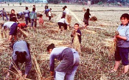 Những hình ảnh ấn tượng về nông thôn Trung Quốc 1980 sau thời kỳ cải cách mở cửa kinh tế