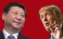 Chưa kịp 'Make America Great Again', Donald Trump đã sắp thua Trung Quốc trong lĩnh vực này