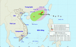 Tin mới nhất: Bão Aere gần tới biển Đông, gió giật cấp 12