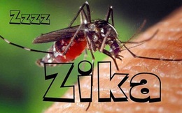 36 ca nhiễm Zika, Hà Nội ra quân truy bắt muỗi