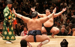 Các trận đấu sumo cho thấy điều gì về kinh tế Nhật?