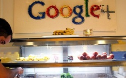 Ở Google, Apple... nhân viên được ăn ngon như thế này bảo sao làm việc lại chẳng hết mình