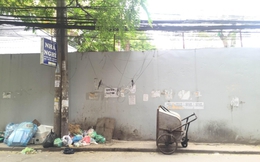 Nhóm sinh viên Hà Nội biến bãi rác "dọn 10 năm không sạch" thành một vườn hoa