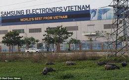Samsung ngừng sản xuất Note 7, công nhân Việt Nam ra sao?
