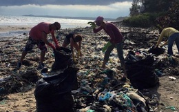 Hàng chục du khách nước ngoài tự nguyện dọn rác ở Mũi Né