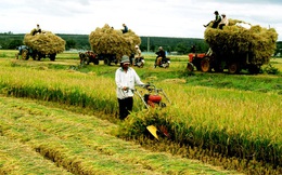 Nông nghiệp Việt chủ động trong sân chơi hội nhập