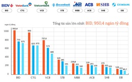 [Infographic] Các ngân hàng niêm yết hoạt động ra sao trong 9 tháng đầu năm 2016