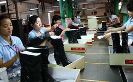 Công nhân da giày Việt Nam: Lực lượng đông, năng suất cao, lương chỉ bằng nửa Trung Quốc