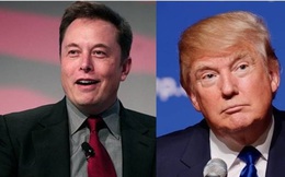 Nếu nước Mỹ cần một Tổng thống mới, hãy gọi cho Elon Musk