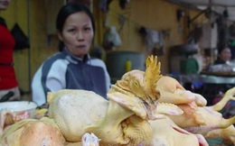 Không chỉ ở Hà Nội, Đà Nẵng cũng có xe chuyên dùng test thực phẩm ở nhà hàng, quán ăn, chợ…