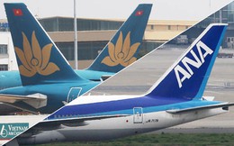 Đại gia chống lưng cho Vanilla Air liên danh chuyến bay với Vietnam Airlines