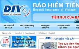 Phát hiện một loạt sai phạm ở Bảo hiểm Tiền gửi Việt Nam