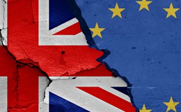 Từ "Brexit" đến "Regrexit"