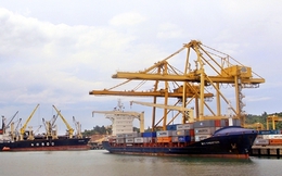 Nhật Bản muốn đầu tư vào các cảng trọng điểm Việt Nam
