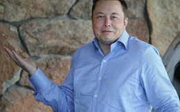 Câu trả lời không đỡ được của Elon Musk khi em họ ông hỏi mua xe Tesla với "giá người nhà"