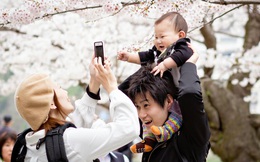 Cấu trúc gia đình Nhật đang thay đổi mạnh mẽ chưa từng có: Đàn ông ở nhà nội trợ, chăm con