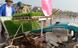 Bí thư, Chủ tịch TP. Hà Nội lội ruộng để hiểu 'đôi chân trần'