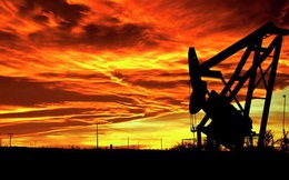 Giá dầu tăng mạnh, vượt 40 USD/thùng