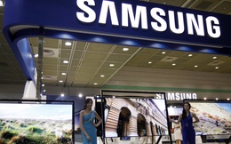 DN Việt từng không làm nổi... túi bóng cho Samsung nay đã bùng nổ về số lượng trong chuỗi cung ứng
