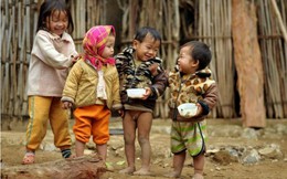 Hạn hán kéo dài làm gần 100.000 người Việt đói ăn, tăng mạnh so với năm ngoái