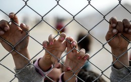 10.000 trẻ di cư biến mất bí ẩn ở châu Âu