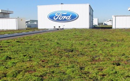 Hãy xem Ford đã biến mái nhà máy của mình thành thảm sinh vật sống độc đáo vô cùng như thế nào