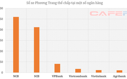 Lộ diện các chủ nợ khác của Phương Trang: SCB, NCB, VPBank