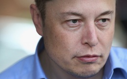 Elon Musk nên lo lắng vì Trump đắc cử có thể sẽ khiến tham vọng điện mặt trời của Tesla trở nên xa vời hơn