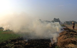 Ô nhiễm không khí, Hà Nội yêu cầu nông dân hạn chế đốt rơm, rạ