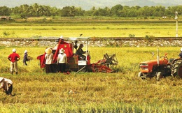 NASA giúp Việt Nam làm nông nghiệp công nghệ cao