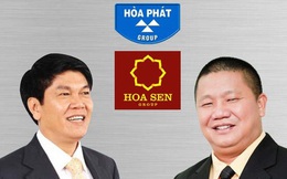 Hoa Sen vs. Hòa Phát: Quyết đấu cho vị trí số 1 ngành thép