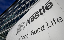 Nestle phải ra tòa vì bóc lột lao động trẻ em