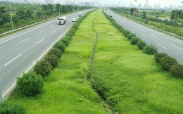 53 tỷ đồng tiền cắt cỏ 24km trên đại lộ Thăng Long được chi như thế nào?