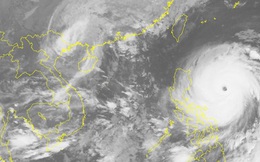 16h chiều nay, bão số 7 giật cấp 11 tấn công đất liền Quảng Ninh