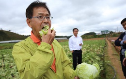 Mơ ước của nông dân Việt: Thu nhập 200.000 USD từ trồng rau sạch ăn ngay tại ruộng ở Nhật