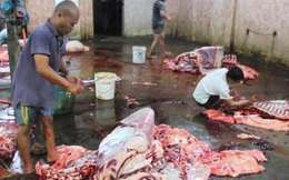 Bí thư Đinh La Thăng đề xuất giao các cựu chiến binh giám sát vấn đề an toàn thực phẩm
