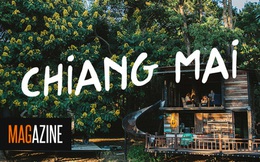 Nếu đã chán mua sắm ở Bangkok, sao không thử đến Chiang Mai tận hưởng sự thanh bình