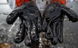 Giá dầu đã có lúc về mức... -0,5 USD/thùng